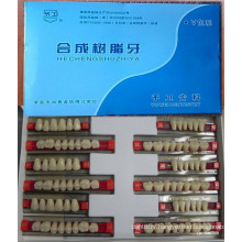 Euro-Market! ! ! 2016 Most Popular 2 Layer Acrylic Teeth